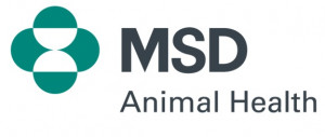 MSD 1